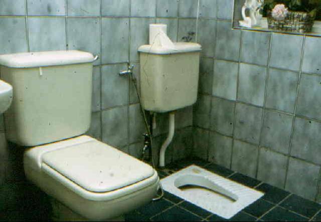 Facilities for sitters and squatters
