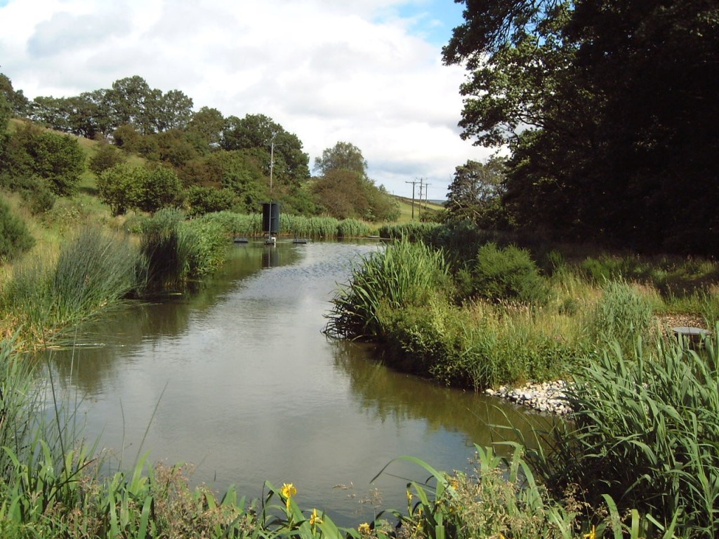 Primary fac. pond