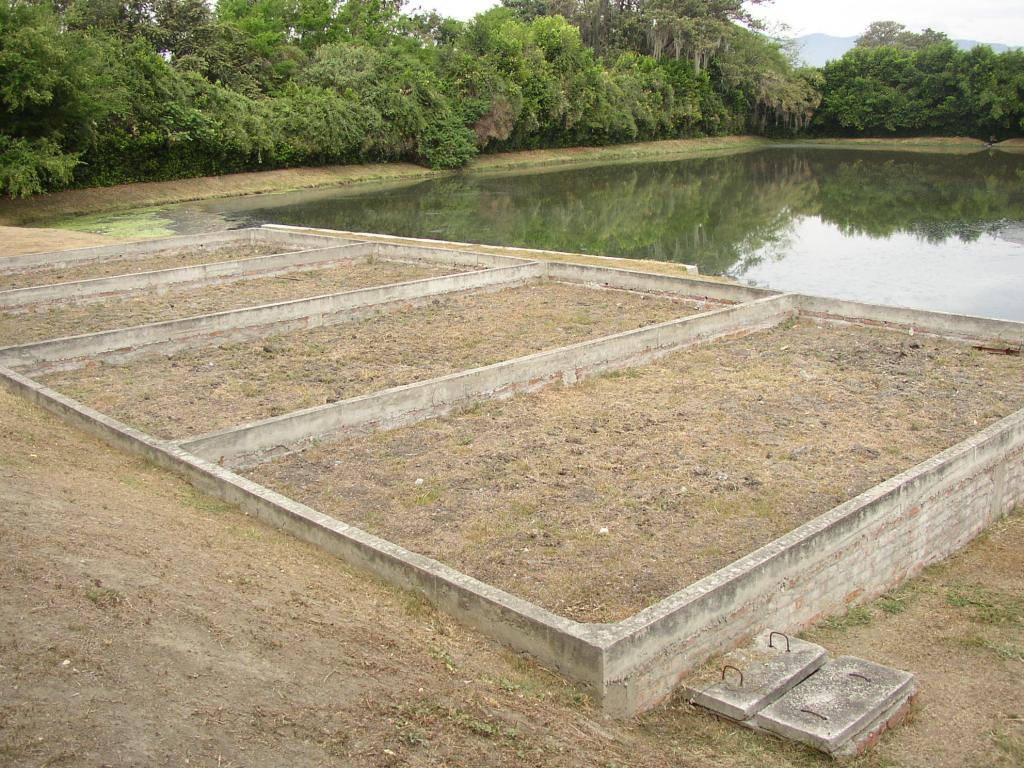 Drying beds & fac. pond
