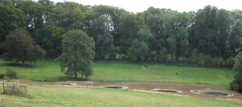 WSP general view