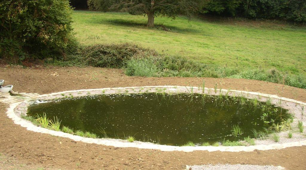 Secondary fac. pond