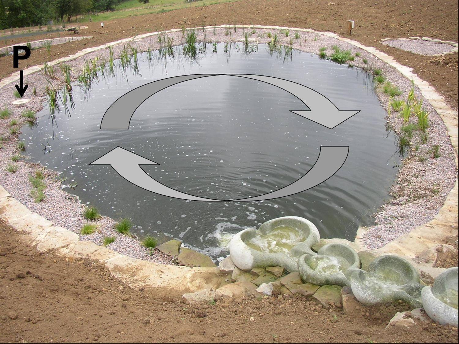 Sec. fac. pond showing mixing
