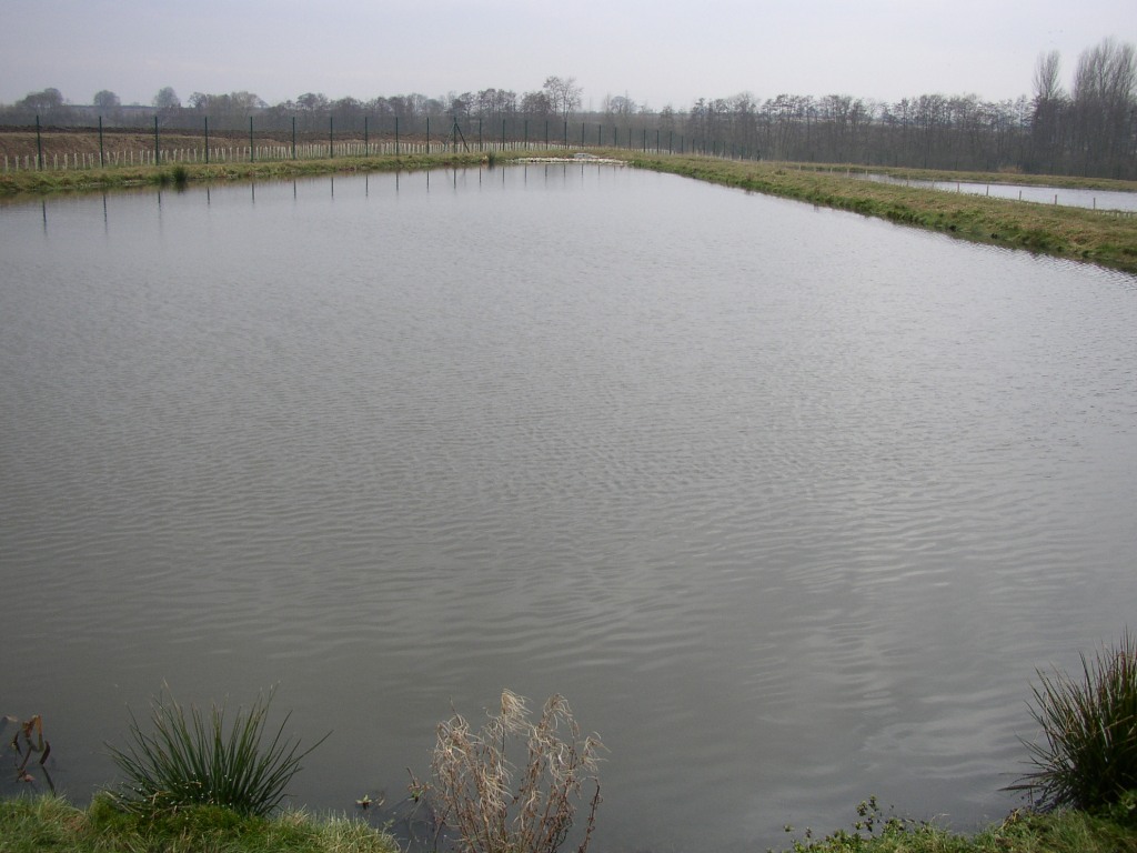 Facultative pond