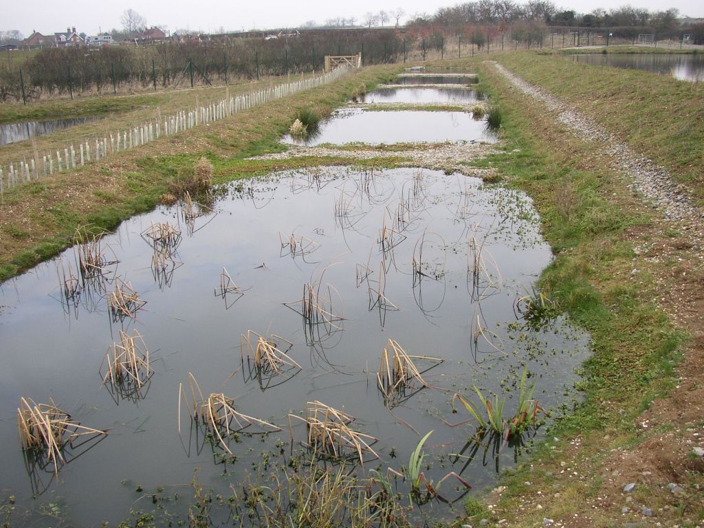 Series of 5 mat. ponds