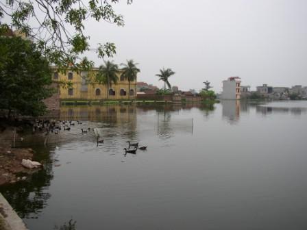 Wastewater-fed fishpond