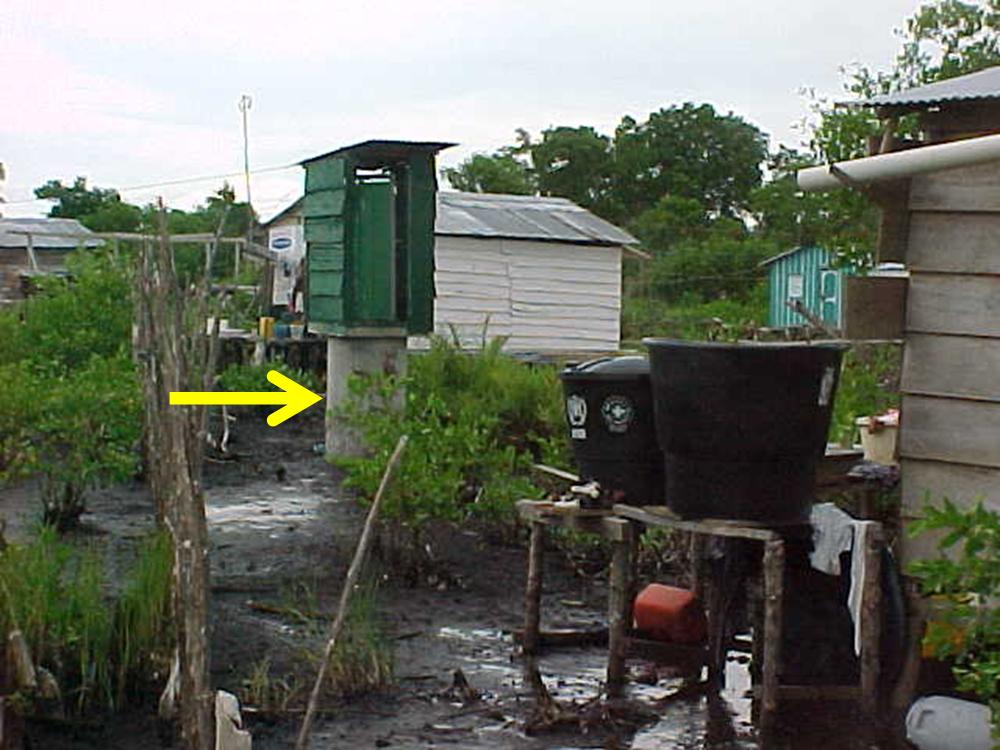 Wholly above-ground pit latrine